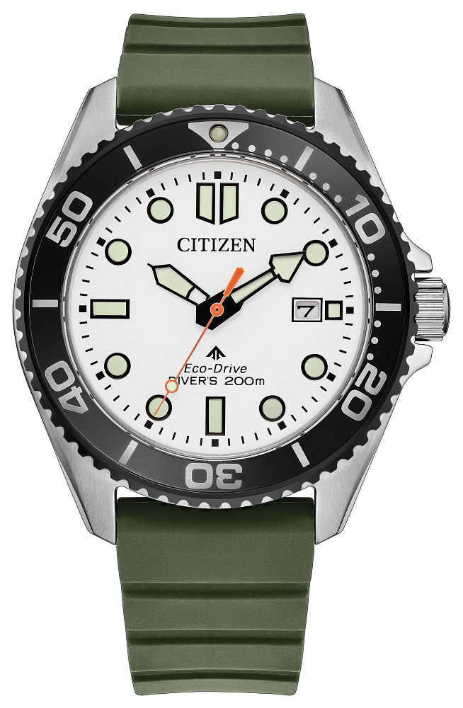 Promaster Dive